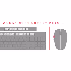 CHERRY DW 5100 clavier Souris incluse RF sans fil Tchèque, Slovaque Noir