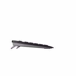 CHERRY Stream Wireless clavier FR sans fil +USB QWERTZ Tchèque Noir