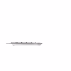 CHERRY KC 6000C FOR MAC clavier USB AZERTY Français Argent - Vue supplémentaire 5