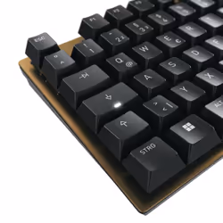 CHERRY KC 200 MX clavier USB QWERTZ Allemand Noir, Bronze - Vue supplémentaire 5