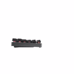 CHERRY MX 8.2 TKL Wireless RGB clavier RF sans fil + Bluetooth AZERTY Français Noir