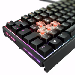 CHERRY XTRFY MX 3.1 - Vue supplémentaire 4