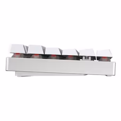 CHERRY MX 8.2 TKL Wireless RGB clavier Jouer USB + RF Wireless + Bluetooth QWERTZ Allemand Blanc