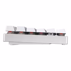 CHERRY XTRFY MX 8.2 TKL Wireless XAGA clavier Jouer USB + RF Wireless + Bluetooth QWERTZ Allemand Blanc