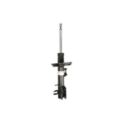Amortisseur BILSTEIN - B4 OE Replacement BILSTEIN 22-250346 gauche