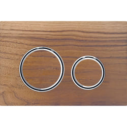 Geberit 115.884.JX.1 pièce de remplacement de chasse d’eau Plaque de rinçage Chrome