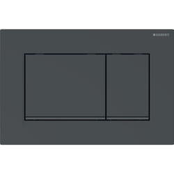 Geberit 115.883.DW.1 pièce de remplacement de chasse d’eau Plaque de rinçage Noir