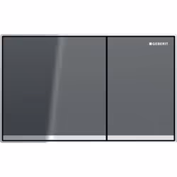 Geberit 115.640.JK.1, Plaque de rinçage, Gris, Chrome, Geberit, 214 mm, 25 mm, 132 mm