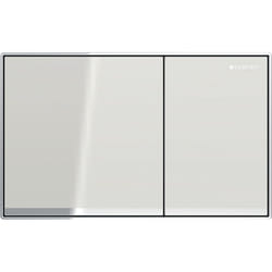 Geberit 115.640.JL.1 pièce de remplacement de chasse d’eau Plaque de rinçage Chrome, Gris