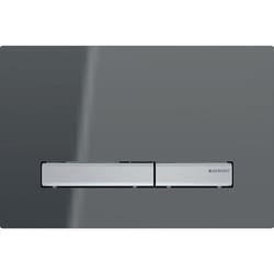 Geberit 115.788.JK.2 pièce de remplacement de chasse d’eau Plaque de rinçage Chrome