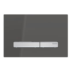 Geberit 115.788.DW.2 pièce de remplacement de chasse d’eau Plaque de rinçage Noir, Chrome