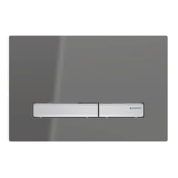 Geberit 115.788.SD.2 pièce de remplacement de chasse d’eau Plaque de rinçage Chrome