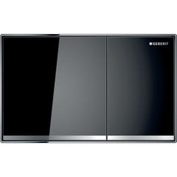 Geberit 115.640.SJ.1 pièce de remplacement de chasse d’eau Plaque de rinçage Noir, Chrome