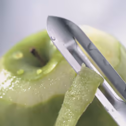 Kela 19009 Éplucheur Légumes Eplucheur en Y Argent