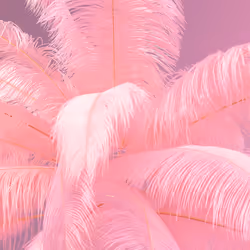 Lampadaire plumes 165cm rose Kare Design