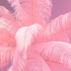Lampadaire plumes 165cm rose Kare Design