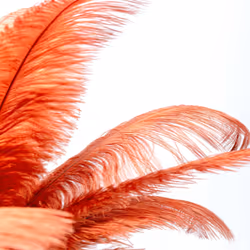 Lampe plumes rouges Kare Design