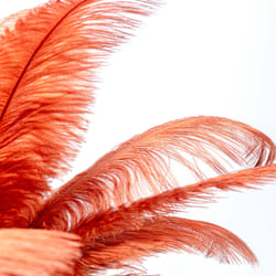 Lampe plumes rouges Kare Design