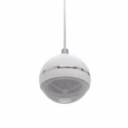 Omnitronic 80710429 haut-parleur 2-voies Blanc Avec fil 10 W