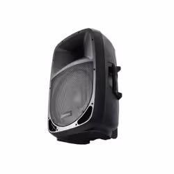 Omnitronic 11038765 haut-parleur 2-voies Noir Avec fil 80 W