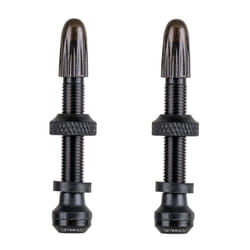 Jeu de valves Schwalbe Tubeless (x2)