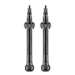 Jeu de valves Schwalbe Tubeless 60 mm (x2)