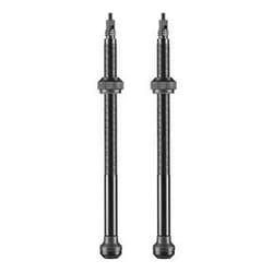 Jeu de valves Schwalbe Tubeless 100 mm (x2)