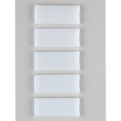 Schneider Electric 1225170 plaque non-métallique Blanc