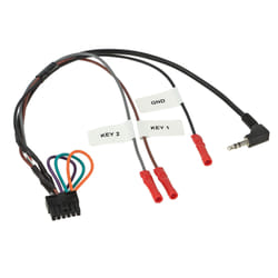 ACV 42ctmultilead