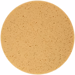 Caractéristiques :EPG 400 disque éponge (Velcro) Caractéristiques techniques: Diamètre: 400 mmDiamètre d'alésage mm: 20Épaiss ...