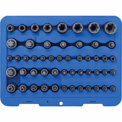 Contenu de la livraison: 12 douilles à embouts, profil T (pour Torx) avec alésage: Empreinte carré femelle: 6,3 mm (1/4"): T8 ...