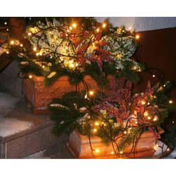 eltric 865 260 lumière décorative Noir 40 lampe(s) LED
