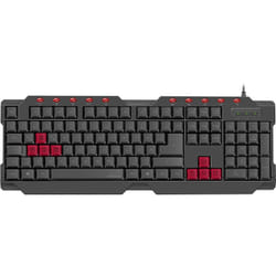 SPEEDLINK Ferus clavier USB Noir