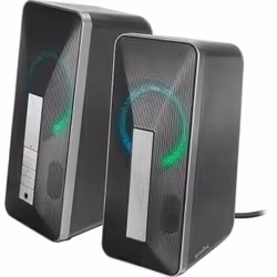 SPEEDLINK LAVEL haut-parleur Noir, Gris Avec fil &sans fil 10 W