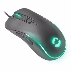 SPEEDLINK ASSERO souris Droitier USB Type-A 6400 DPI