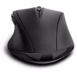 SPEEDLINK SL-630009-RRBK souris Droitier RF sans fil Optique 1600 DPI