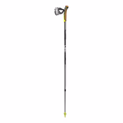 Bâtons Leki Traveller Fx One Carbon