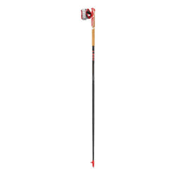 Bâtons Leki Vertical K