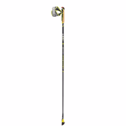 LEKI Smart Pacemaker Lite, Unisexe, Longueur fixée, Marche nordique, Prise type I, Carbone, Carbon Composite (850)