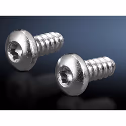 Rittal SZ 2486.400, Vis, Acier, M5, 1,3 cm, 900 g, 1,1 kg