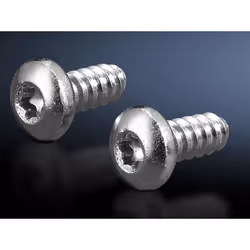 Rittal 2486.600, Vis, Tôle métallique, Allen (hex), Acier inoxydable, 1,3 cm, 5,5 mm