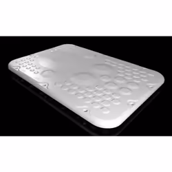 Rittal SZ 2565.300, Plaque d’étagère, Gris clair, Plastique, IP66, 301 mm, 221 mm