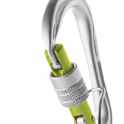 Edelrid 737720000060 mousqueton d'escalade Mousqueton à verrou En forme de D Aluminium Vert clair, Argent 1 pièce(s)