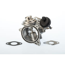 Vanne EGR WAHLER 7650D