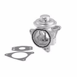 Vanne EGR WAHLER 7496D
