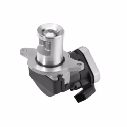 Vanne EGR WAHLER 710023D