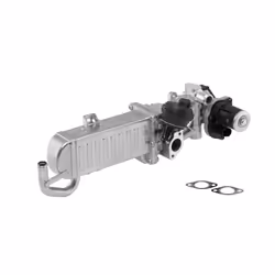 Vanne EGR WAHLER WA710861D