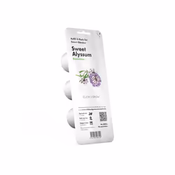 Amscan SGR35x3 3 pièce(s) Alyssum doux Kit de démarrage