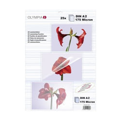Olympia 9184 pochette plastique 25 pièce(s)
