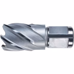 Carottier HSS-Co, en blanc Foret • HSS Co5 • Plaine de surface • Avec un diamètre de tige Weldon 19 mm, 2 surfaces d'entraîne ...